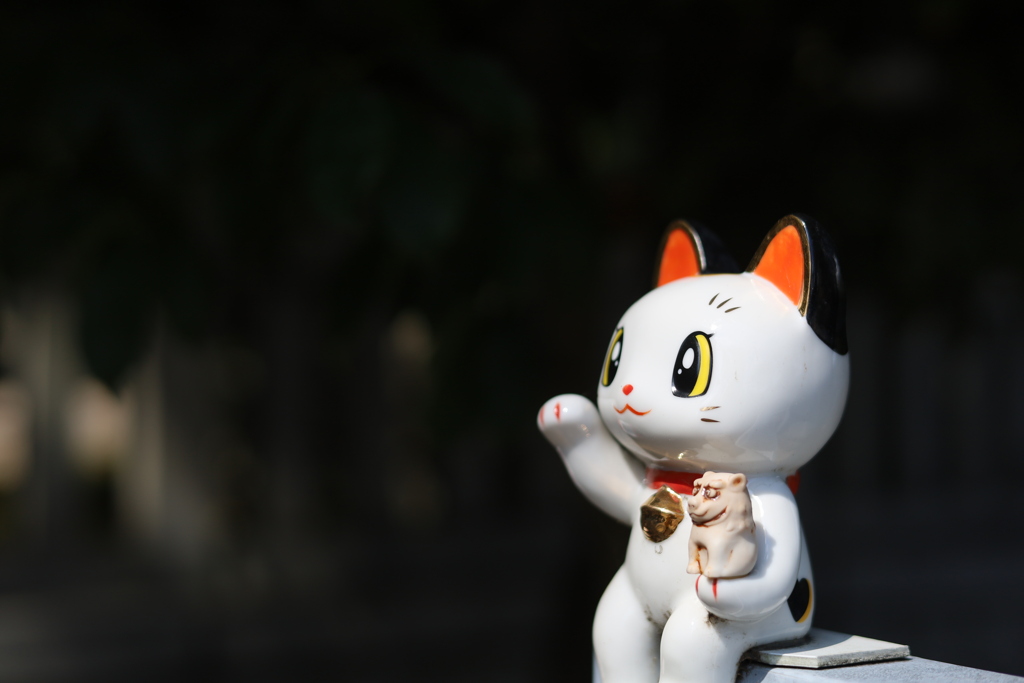 進化してる？