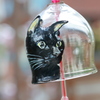 黒猫さんが風鈴に・・