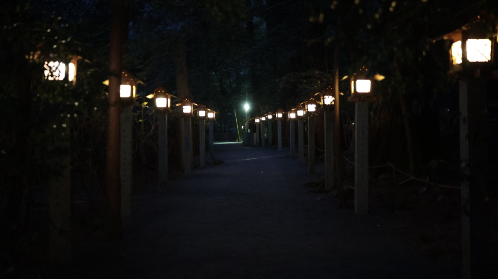 冬の灯籠・・灯が付きました！