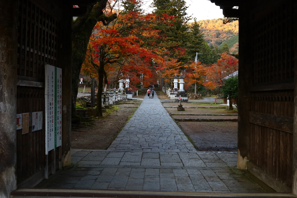 山門のなかの風景