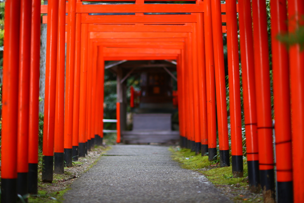 鳥居の奥