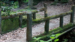 自然遊歩道へ向かうと・・