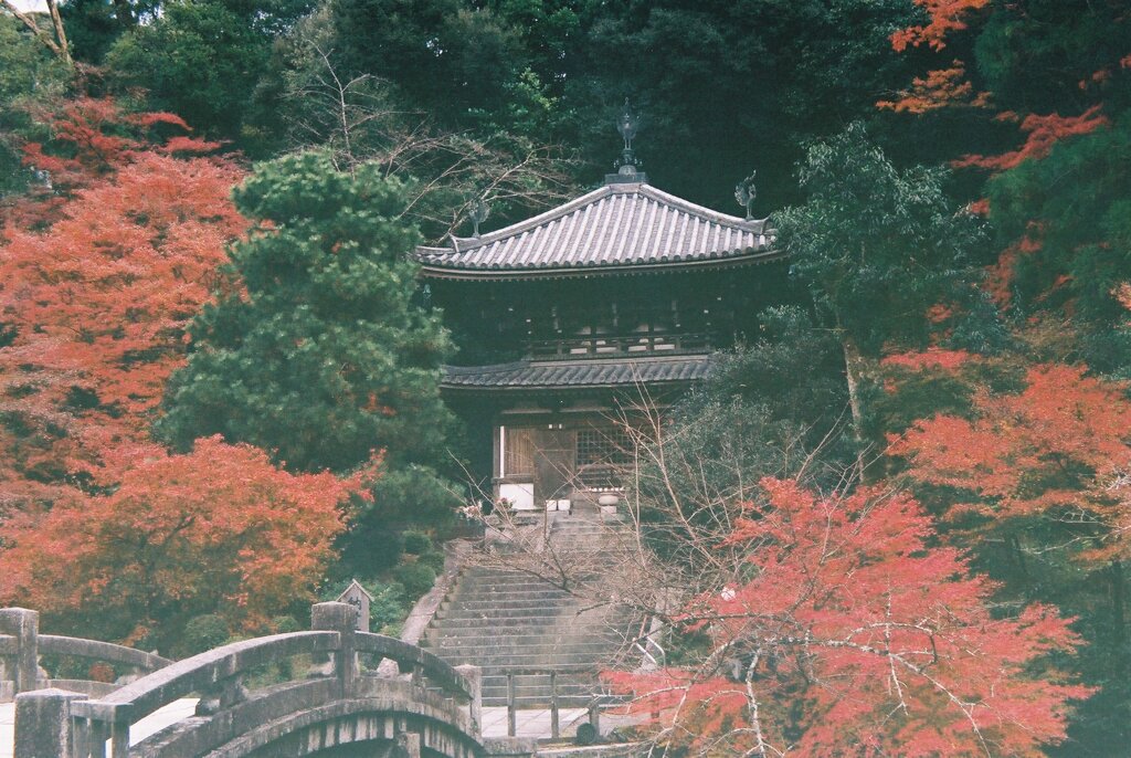 知恩院での1枚