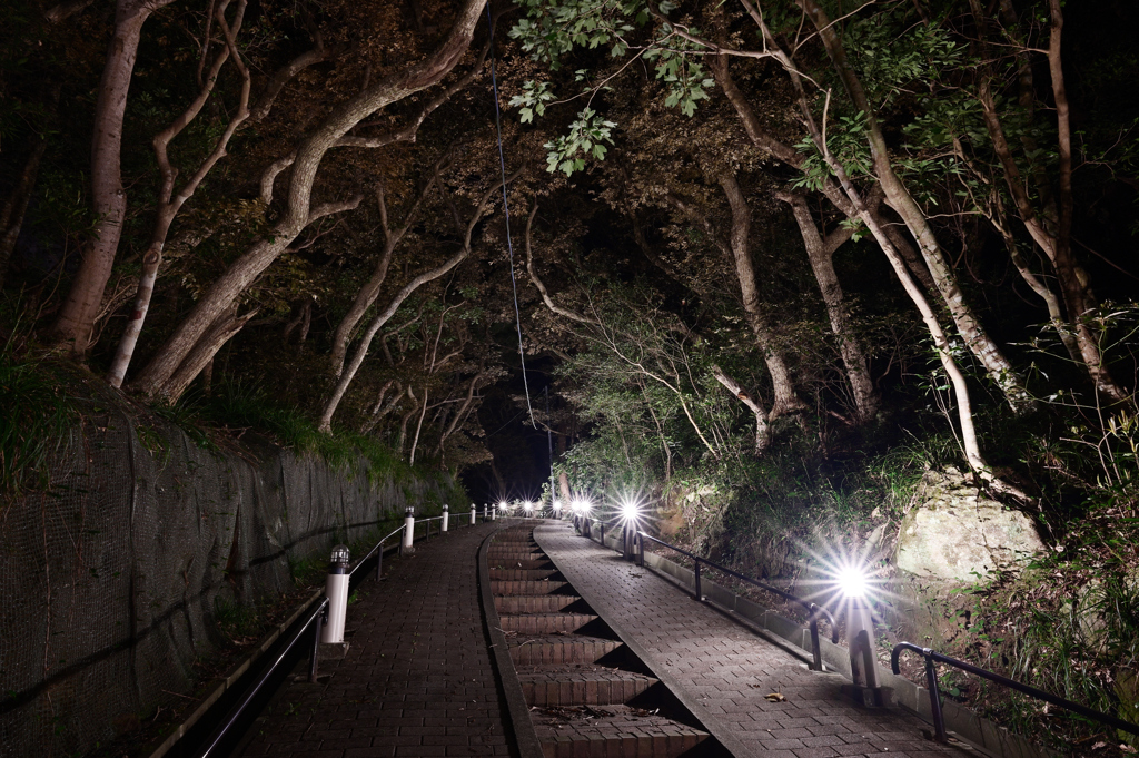 足付温泉からの帰り道