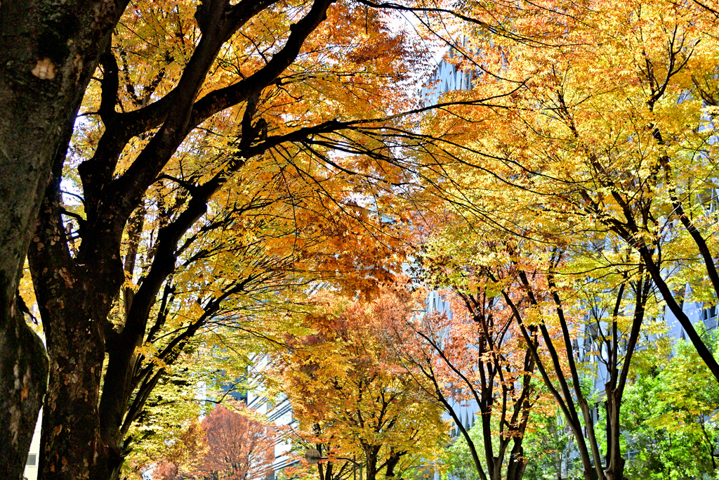 中野区役所前にて