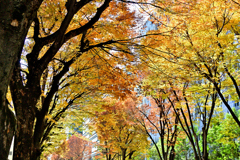 中野区役所前にて