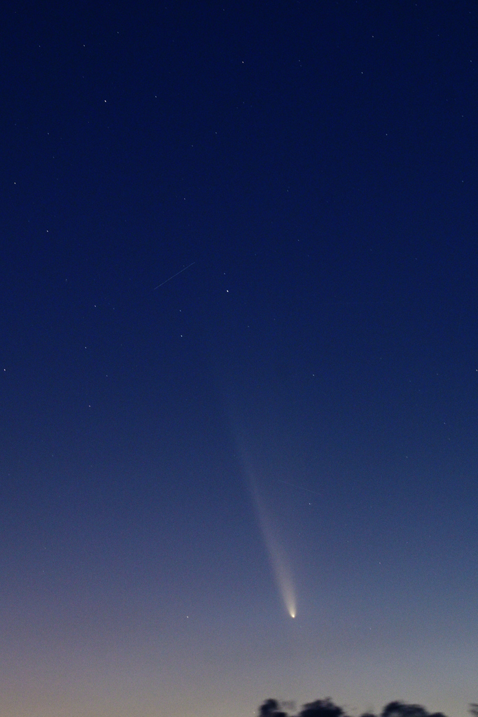 紫金山・アトラス彗星