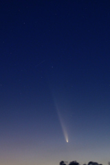 紫金山・アトラス彗星