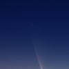 紫金山・アトラス彗星