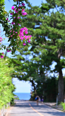 式根の夏