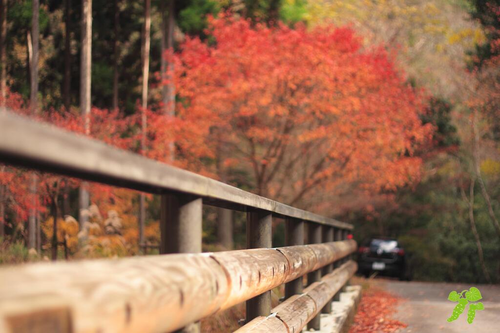秋への橋