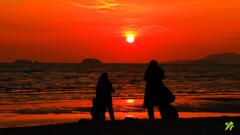 夕日に遊ぶ