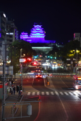 姫路城夜桜会「春に想ふ　これからもずっと・・・」