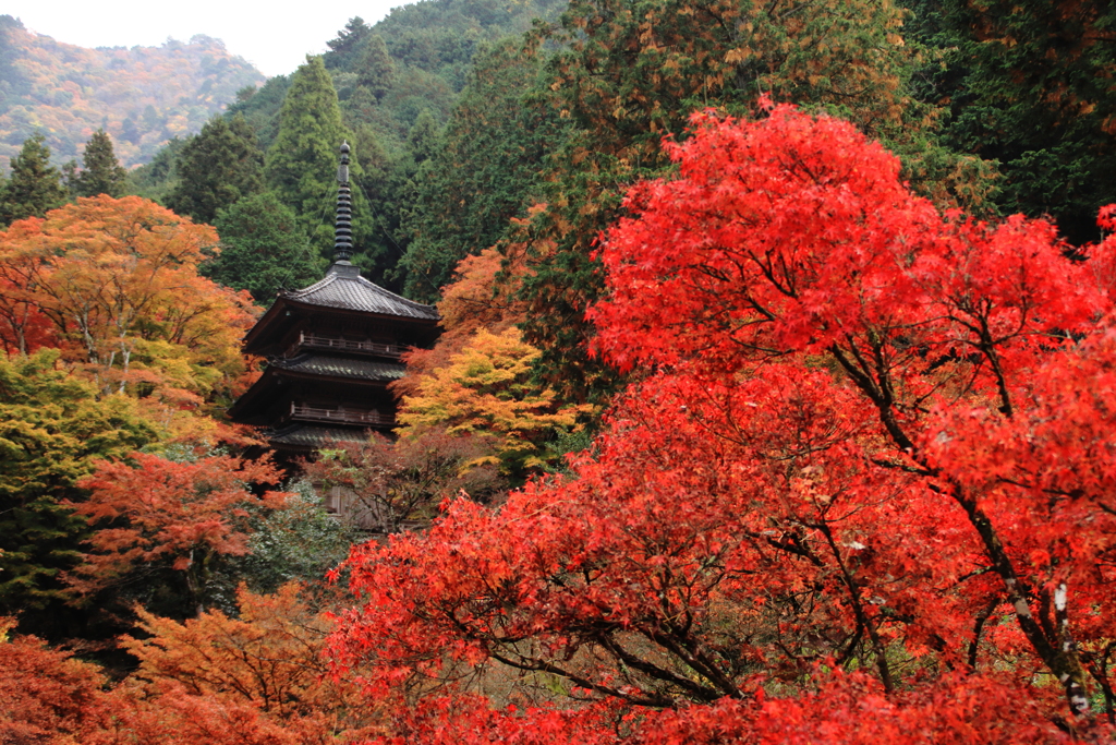 紅葉の三重塔