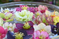 花畑2