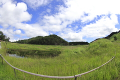 すすき野