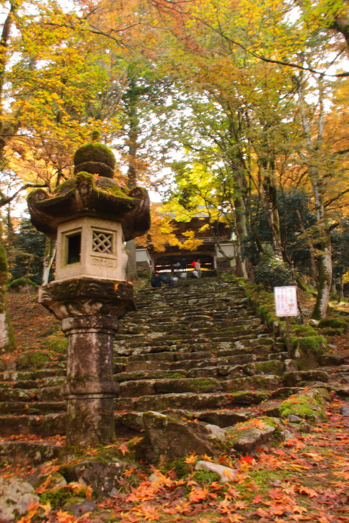 紅葉の寺
