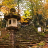 紅葉の寺