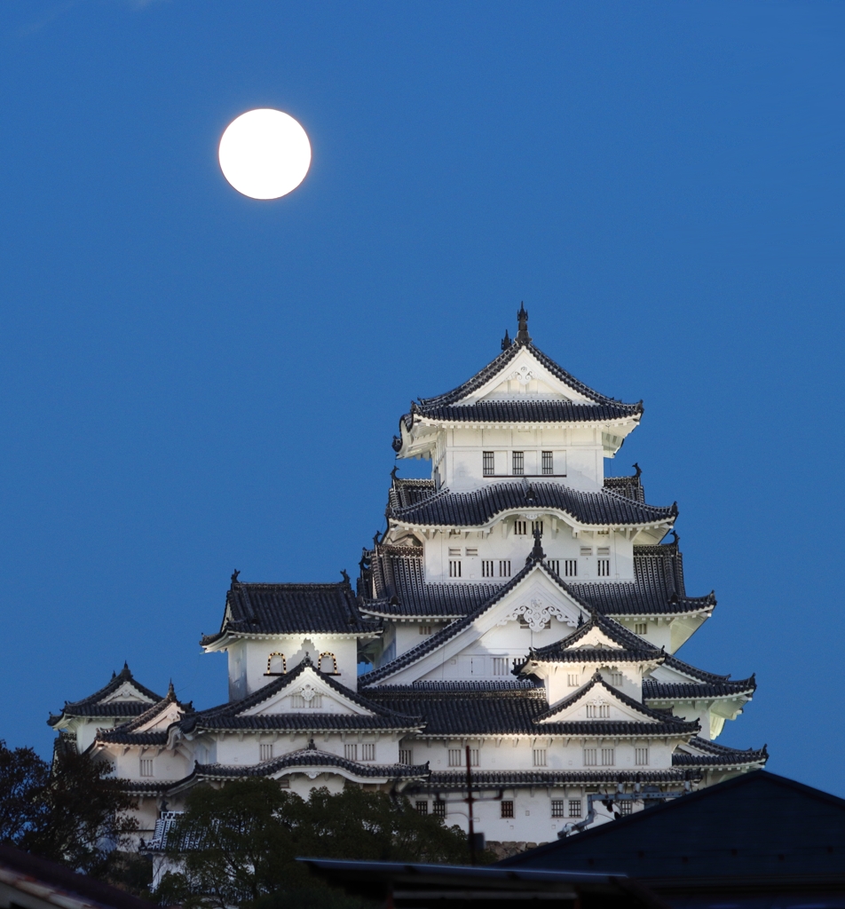 姫路城 (ピンクムーン ロケハン)