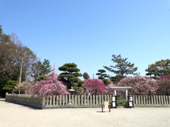 梅天満宮