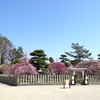 梅天満宮
