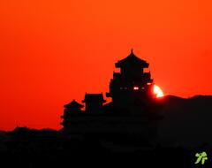 姫路城の夜明け