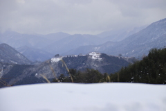 冠雪の城