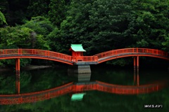 安志加茂神社　池
