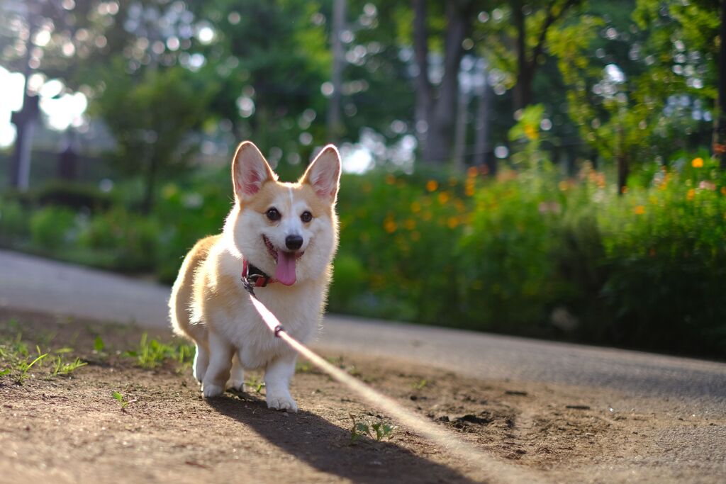 楽しかった？にて。