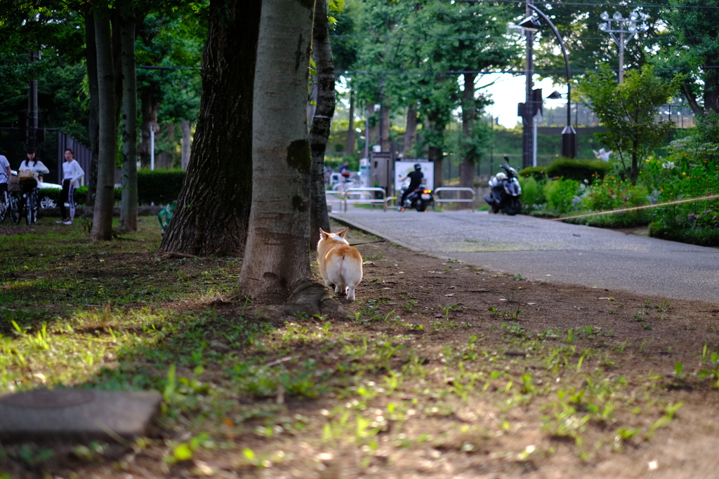 帰る～、にて。