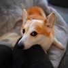 ひまー写真撮って〜、にて。