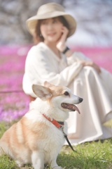 モデル犬？にて。