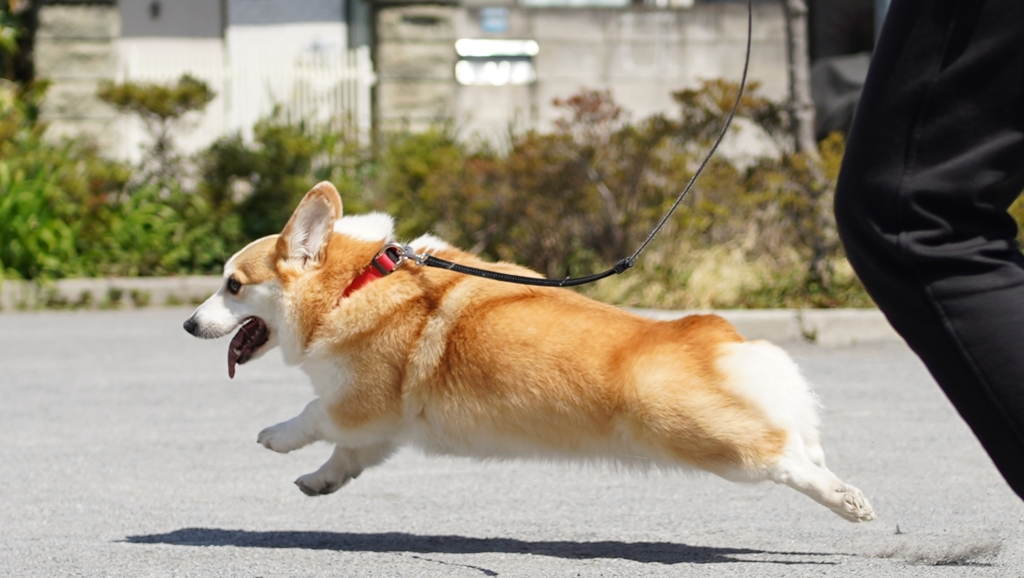 広場、にて。