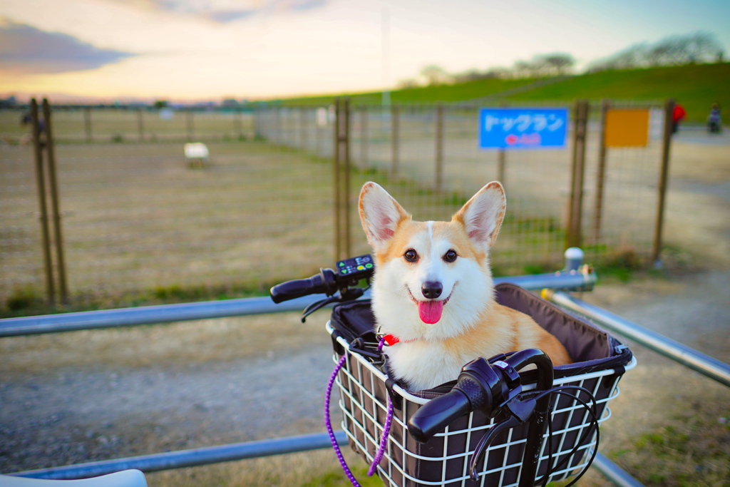 さー帰ろ！にて。