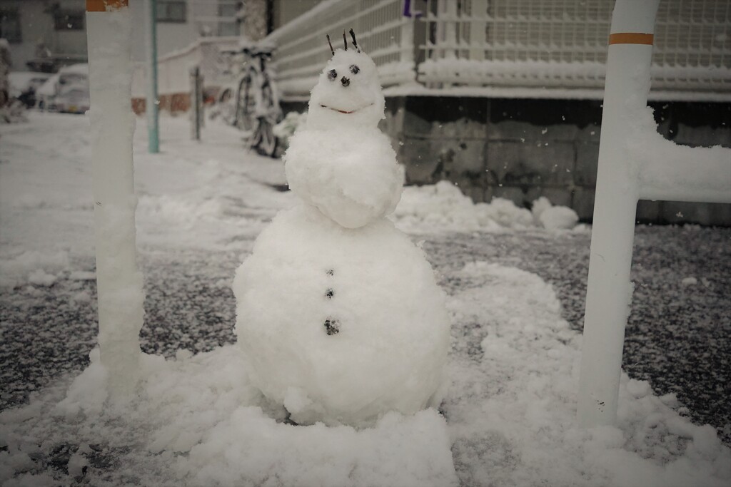 雪だるまにて
