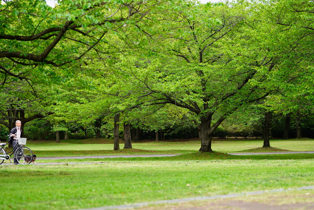 ネモフィラ公園、にて。