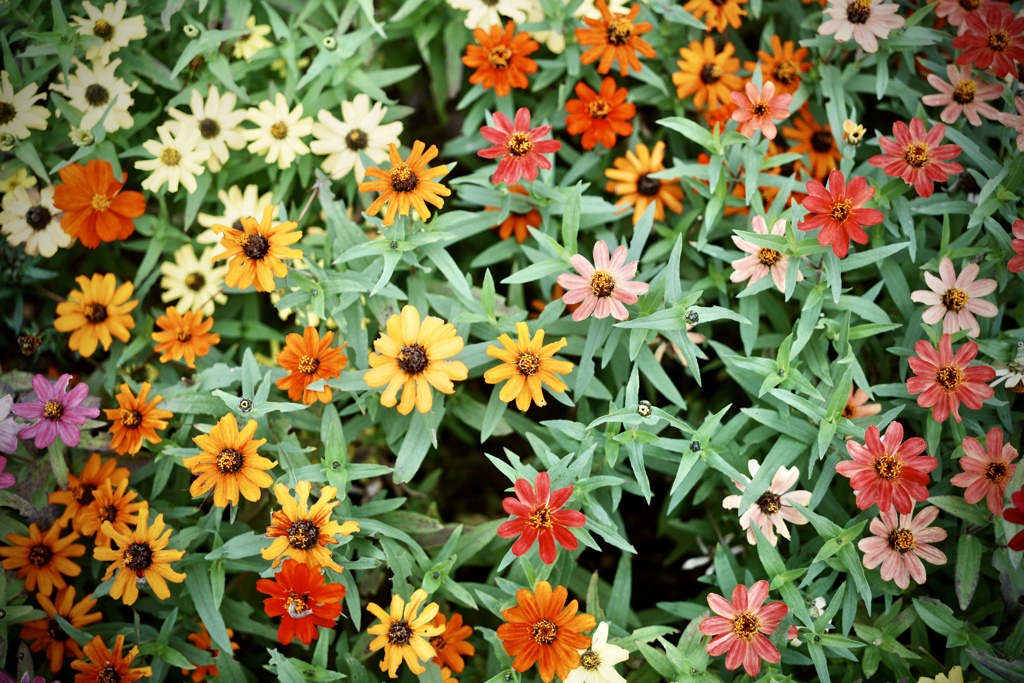 秋の頃、にて。