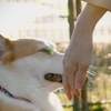 ママの手、にて。