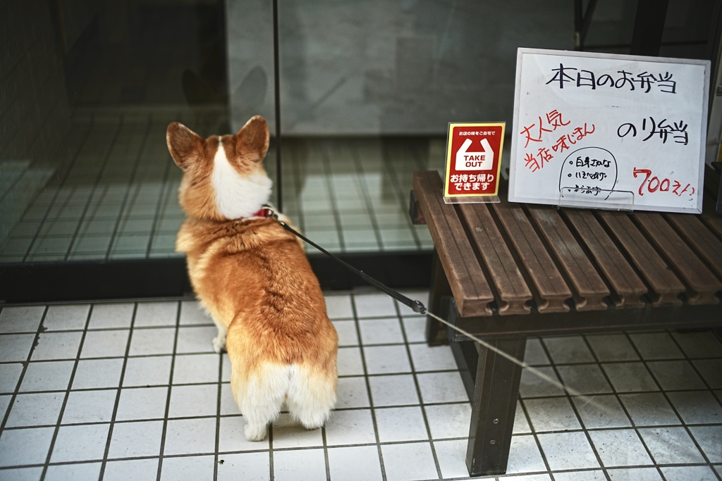 のり弁まだかな！にて。