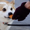 取られたくない！取られたくな〜い！