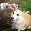 撮影準備にて。