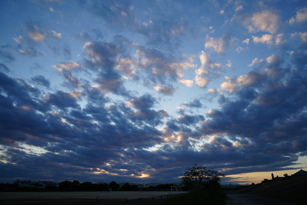 ドッグランのち夕暮れ、にて。