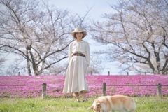 春の色、にて。