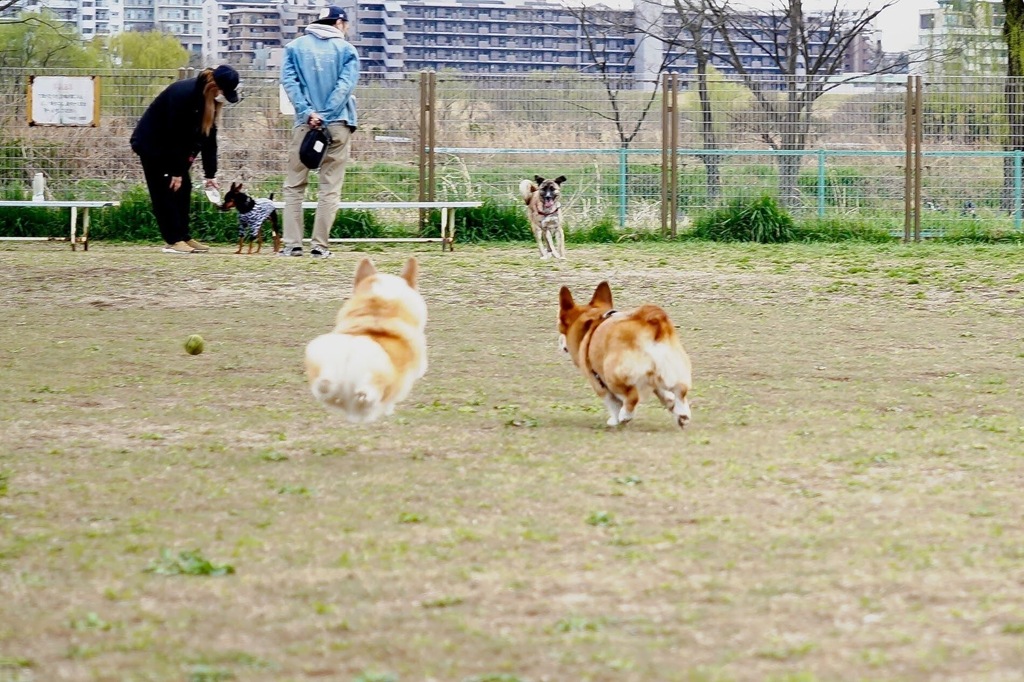 飛行中。にて