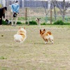 飛行中。にて