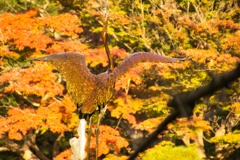 日比谷公園の鶴