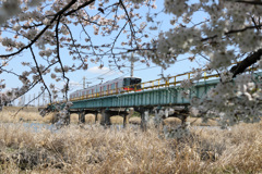 夢前川に行きました