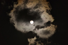 道後温泉 夜空のスケルトン雲