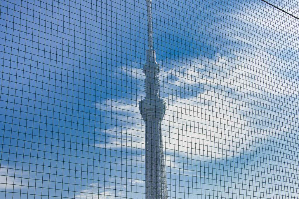 Tokyo Sky Tree over the net