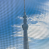 Tokyo Sky Tree over the net